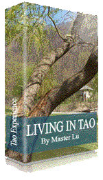 Living in Tao cover