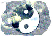 yin-yang by Taopage picture